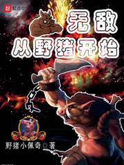 �޵д�Ұ����ʼ
