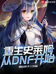 ����ʷ��ķ��DNF��ʼ