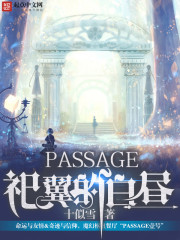 PASSAGE֮�����İ���